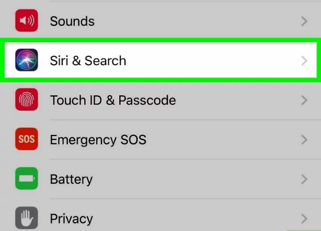 Chọn mục Siri & Search