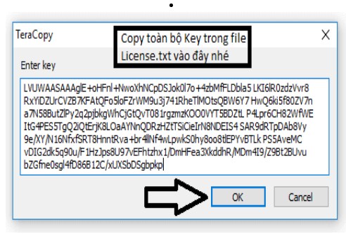 Copy key từ file .txt vào để kích hoạt