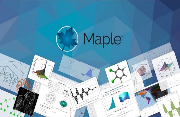 Maplesoft Maple 2020