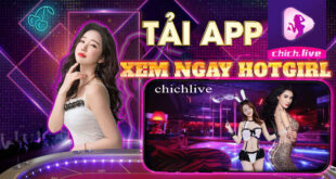 CẬP NHẬT DOWNLOAD CHICHLIVE MOD MỚI NHẤT!