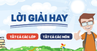 CẬP NHẬT DOWNLOAD LOIGIAIHAY.COM APK MỚI NHẤT!