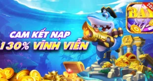 CẬP NHẬT DOWNLOAD BAYVIP MOBI APK MỚI NHẤT!