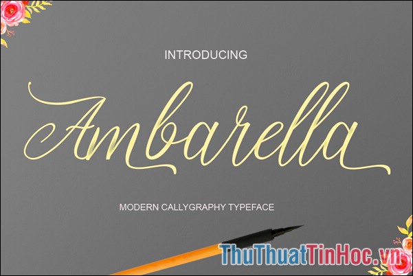 Font Ambarella