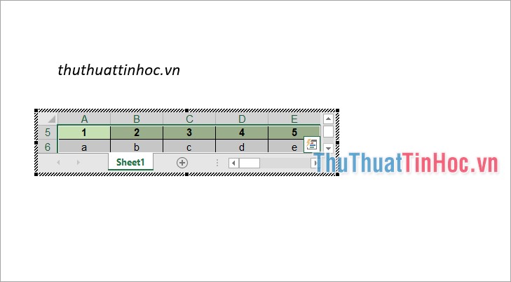 Đã chèn bảng dữ liệu Excel vào Word