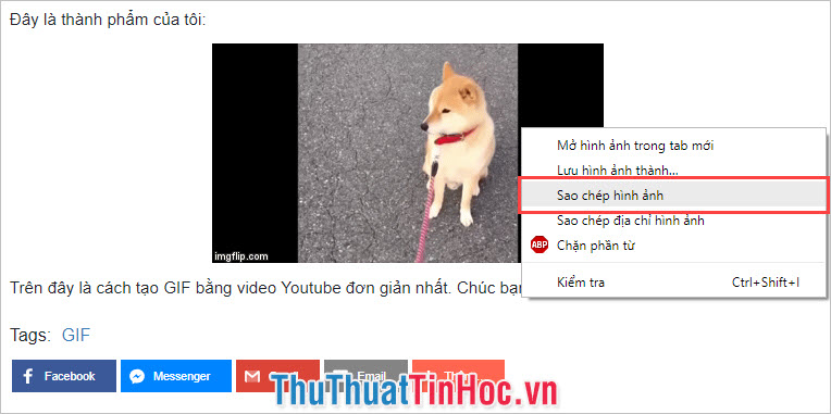 Click chuột phải vào ảnh và chọn Sao chép hình ảnh (Save as image)