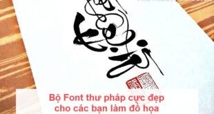 Thư pháp đẹp nhất dành cho đồ họa: Bộ font tuyệt vời để sáng tạo